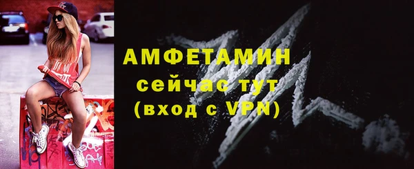 хмурый Гусь-Хрустальный