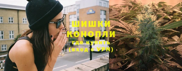 хмурый Гусь-Хрустальный
