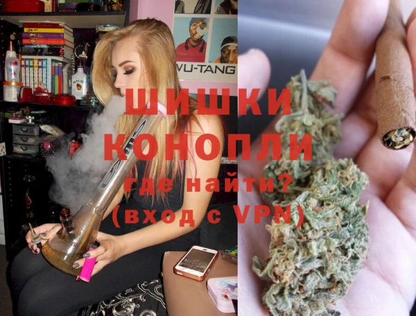 хмурый Гусь-Хрустальный