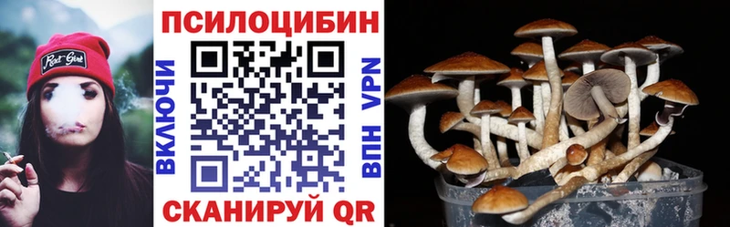 Псилоцибиновые грибы прущие грибы  Дорогобуж 